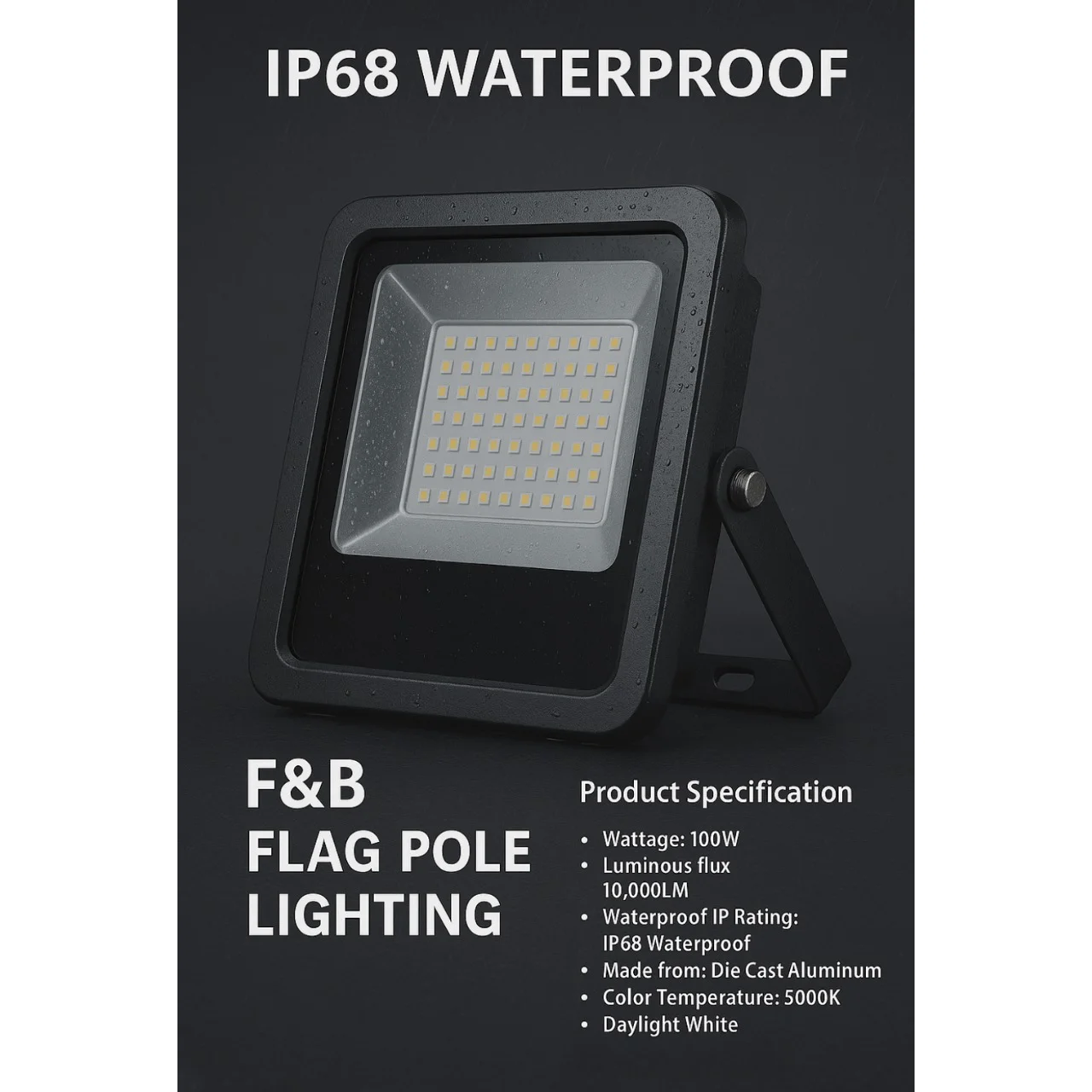 100W LED floodlight Flag Pole Light