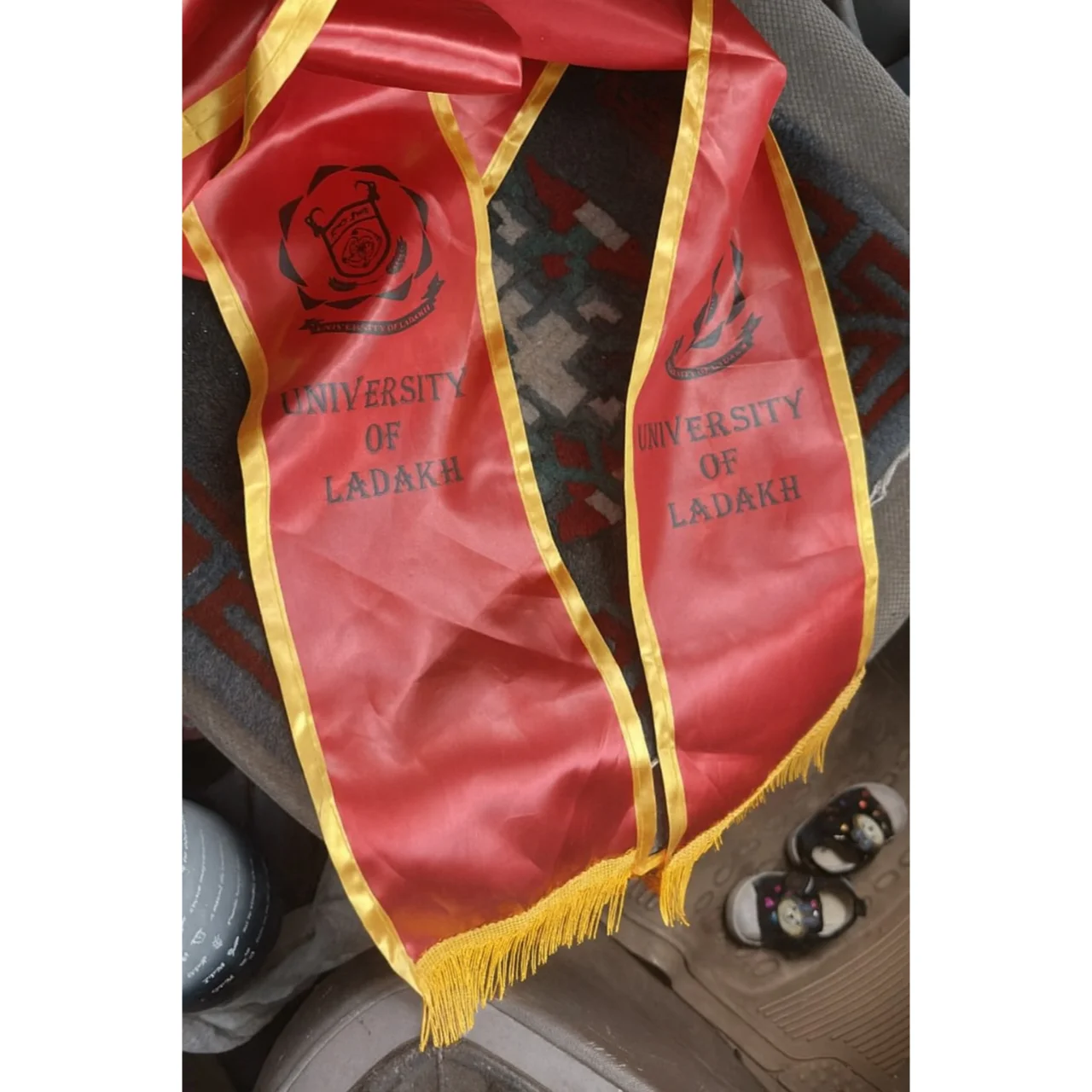 Sashe University of Ladakh