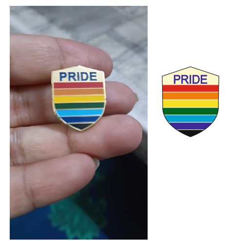 Pride lapel pin