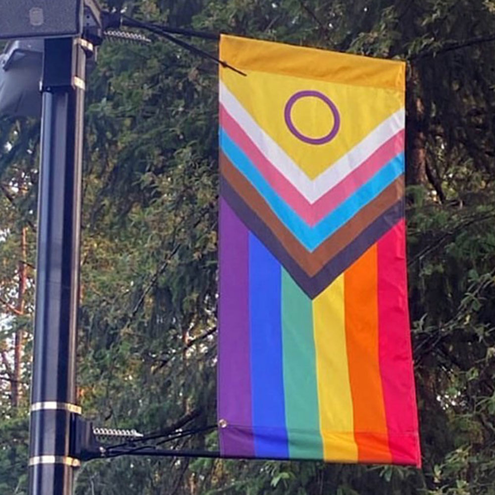 Rainbow Pride Pole Flag